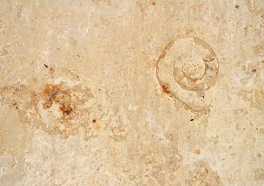 Khel Khilona